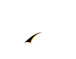 ZAGG sportLEATHER skins